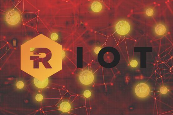 riot platforms