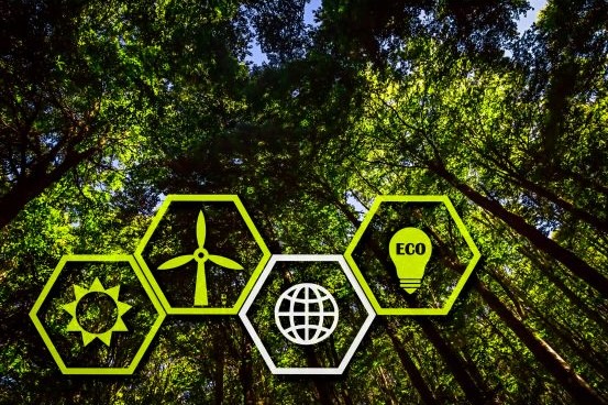 Beneficios de Invertir en Energía Verde con Criptomonedas